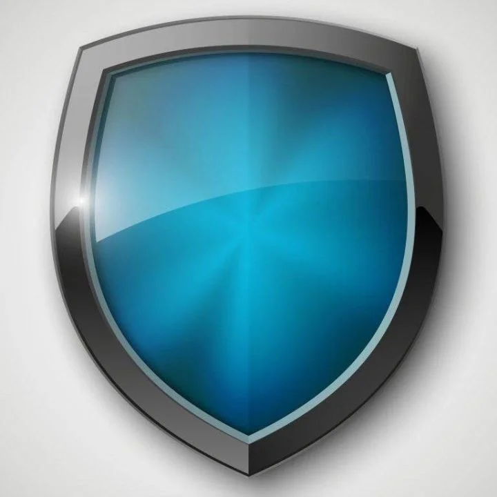 Designated safeguarding lead - image of a shield