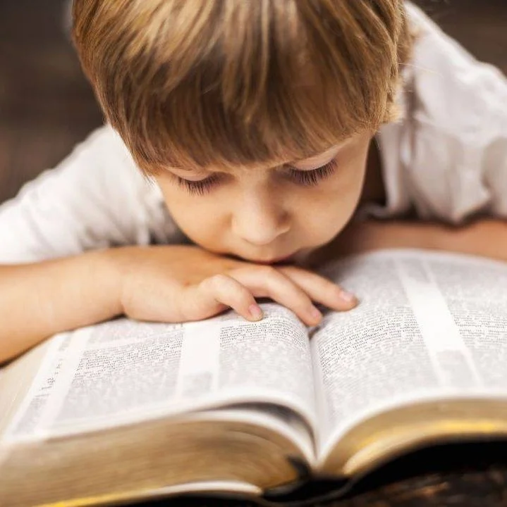 HSE train the trainer primary schools - child reading a book
