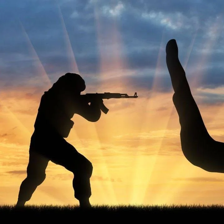 Understanding the impact of extremism - silhouette of hand in front of man with gun
